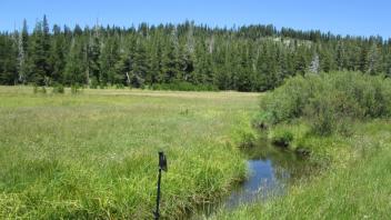 Transect 2 Channel (left to right)