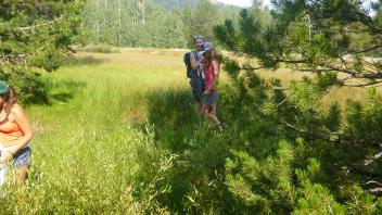 Transect 2 Channel (right to left across)