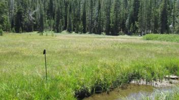 Transect 2 Channel (right to left)