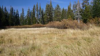 Transect 2 Channel (upstream)