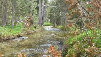 Transect 2 Channel (upstream)