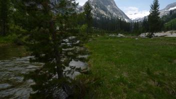 Transect 2 Channel (upstream)