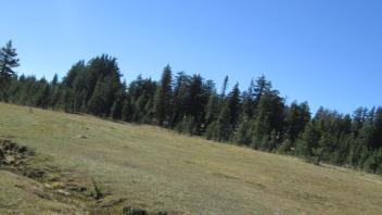 Transect 2 Channel 2 Crossing (left to right)