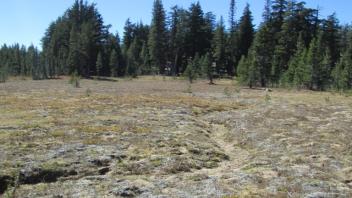 Transect 2 Channel 3 Crossing (right to left)