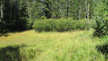 Transect 2 Channel Crossing (left to right)