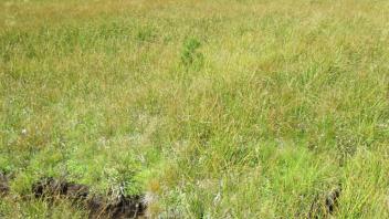 Transect 2 Channel Crossing (left to right)