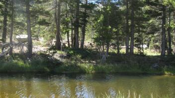 Transect 2 Channel Crossing (right to left)