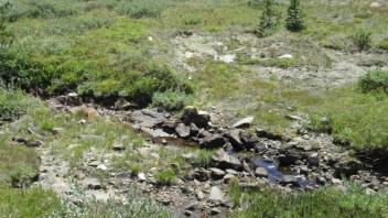 Transect 2 Crossing (left to right)