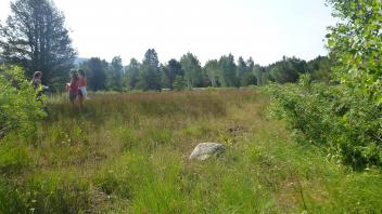 Transect 2 Overview (left to right) 2