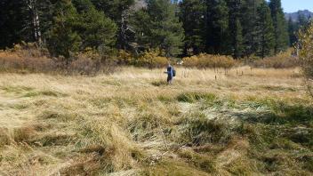 Transect 2 Overview (left to right)