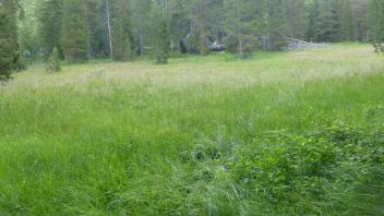 Transect 2 Overview (left to right)