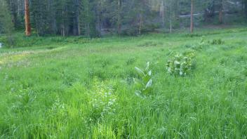Transect 2 Overview (left to right)