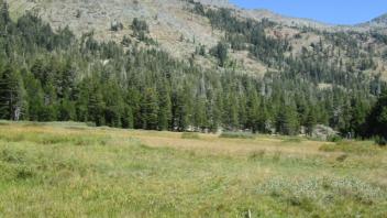 Transect 2 Transect End (left to right)