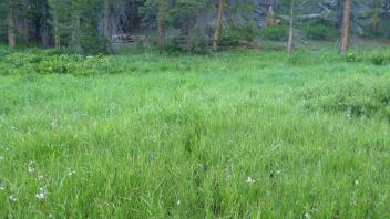 Transect 2 no channel (left to right)