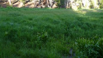 Transect 2 no channel (right to left)