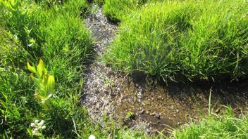 Transect 2, channel crossing