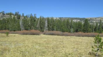 Transect 2, left to right