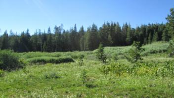 Transect 2, left to right