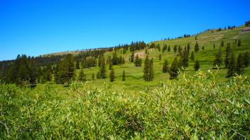 Transect 2, left to right
