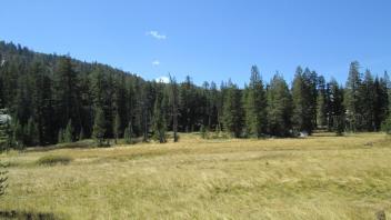 Transect 2, right to left