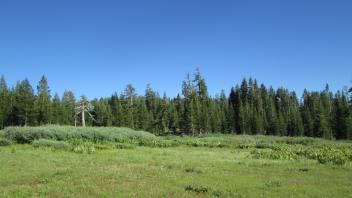 Transect 2, right to left