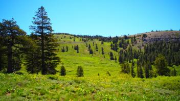 Transect 2, right to left