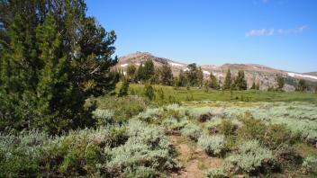 Transect 2, right