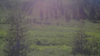 Transect 2, right