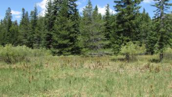 Transect 2.5 (left to right)