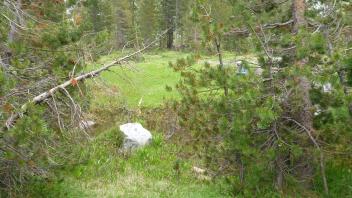 Transect 3 (left to right)