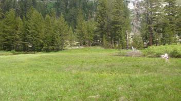 Transect 3 (left to right)