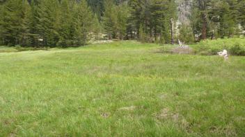 Transect 3 (left to right)