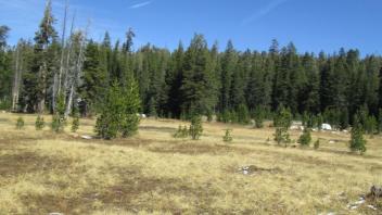 Transect 3 (left to right)
