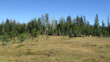 Transect 3 (left to right)