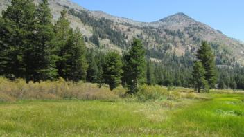 Transect 3 (left to right)