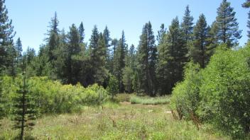 Transect 3 (left to right)