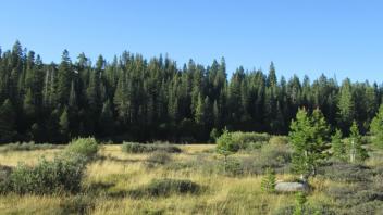Transect 3 (left to right)