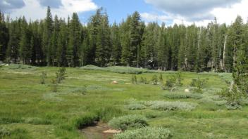 Transect 3 (left to right)