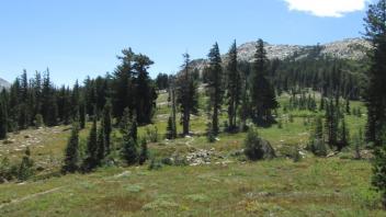 Transect 3 (left)