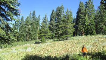 Transect 3 (lower transect, left to right)