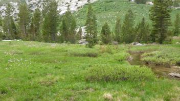 Transect 3 (right to left)