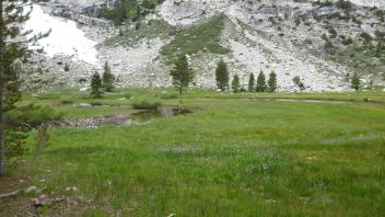 Transect 3 (right to left)