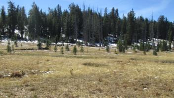 Transect 3 (right to left)