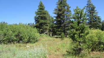 Transect 3 (right to left)