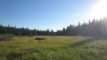 Transect 3 (right to left)