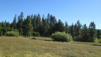 Transect 3 (right to left)