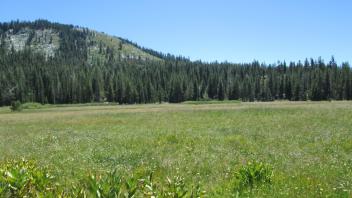 Transect 3 (right to left)