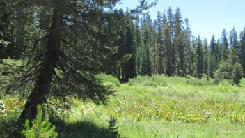 Transect 3 (right to left)