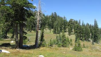 Transect 3 (right)