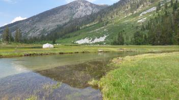 Transect 3 Channel (downstream)